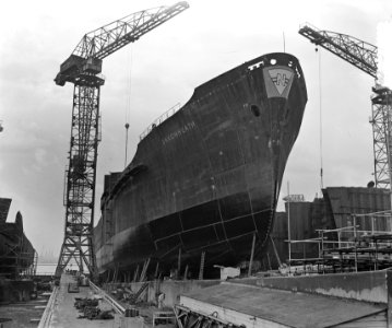 Schip Saxon Heath op helling NDSM, Bestanddeelnr 905-3399