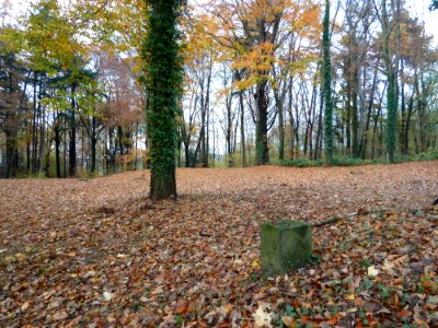 Schin op Geul-Goudsberg (1)