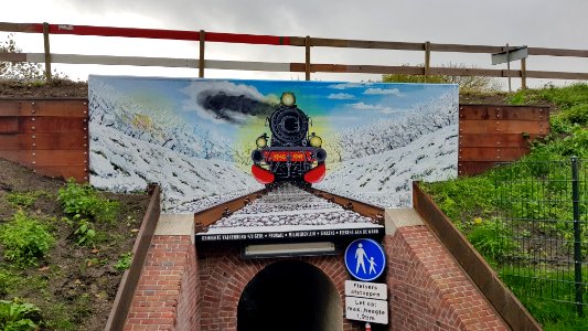 Schin op Geul-voetgangerstunnel onder spoor (4)