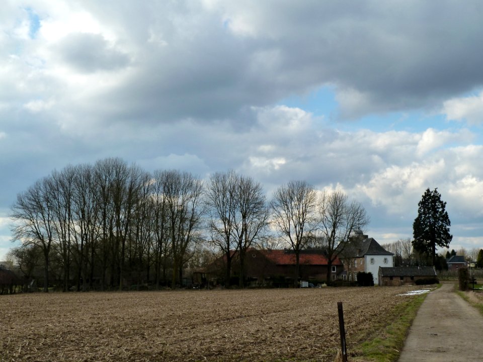 Schimmert-Billich 1 (3)