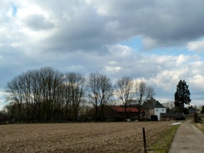 Schimmert-Billich 1 (3)