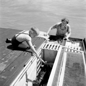 Schipperskind Wim van Geijn voert de kippen aan boord van de Damco 230 onder het, Bestanddeelnr 254-1621