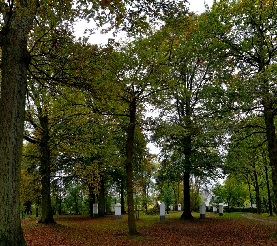 Schin op Geul-Kluis en statieën (18)