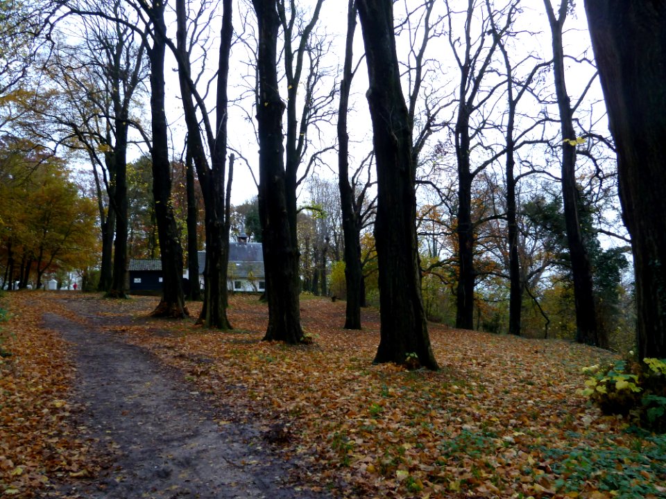 Schin op Geul-Kluis en statieën (1)
