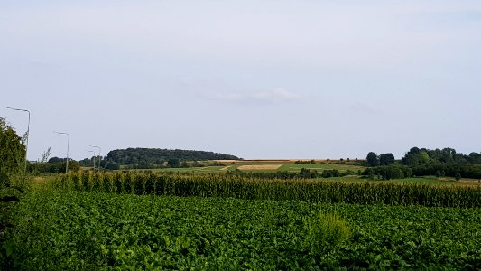 Schin op Geul-Sousberg (4)