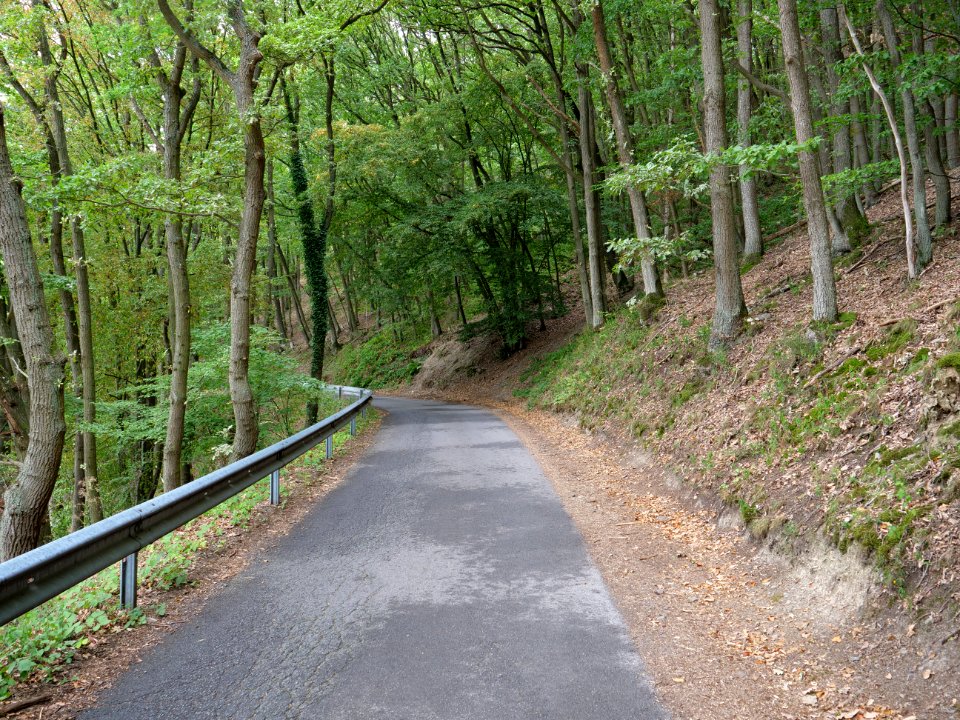 Schilsbachstraße 05