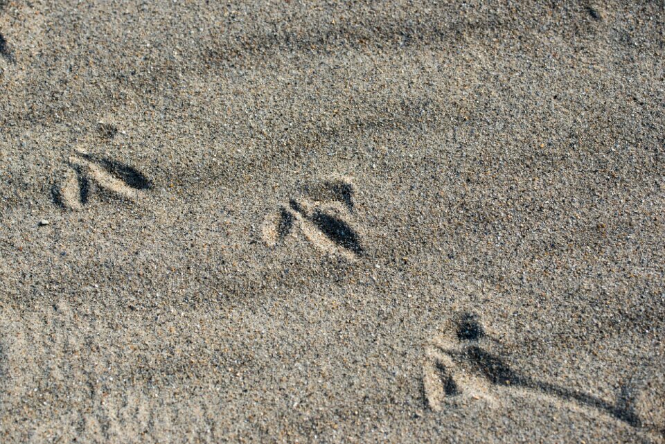 Sand footprints traces photo