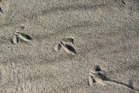 Sand footprints traces