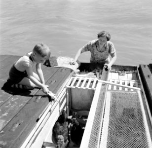 Schipperskind Wim van Geijn voert de kippen aan boord van de Damco 230 onder het, Bestanddeelnr 254-1620