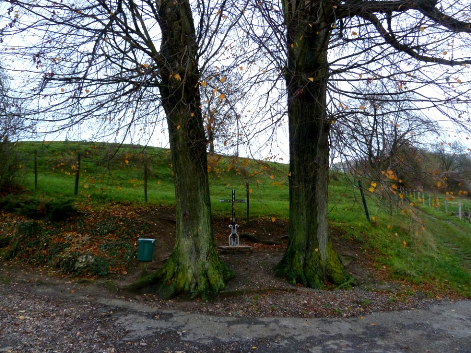 Schin op Geul-Wegkruis in Walem
