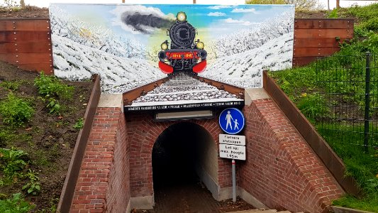 Schin op Geul-voetgangerstunnel onder spoor (5)