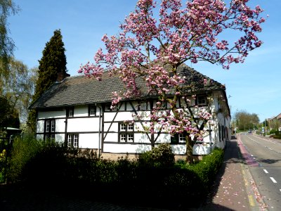 Schinnen-Dorpsstraat 66 (1)