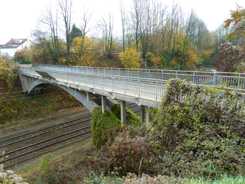 Schin op Geul-Viaduct Vinkenbergstraat (2)