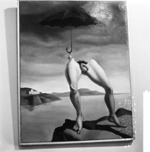 Schilderijententoonstelling in Fodor Museum, Bestanddeelnr 918-6767