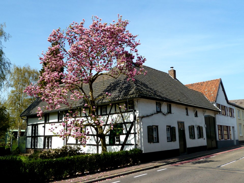Schinnen-Dorpsstraat 66 (3)