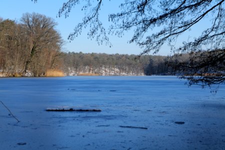 Schlachtensee with ice 2021-01-31 09