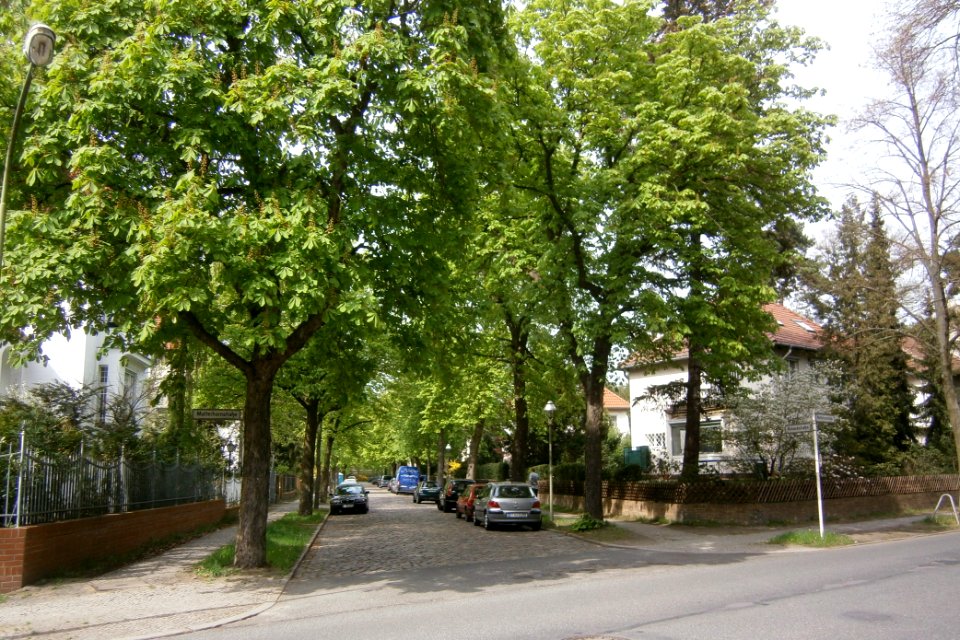 Schlachtensee Rolandstraße P5030312 (2)