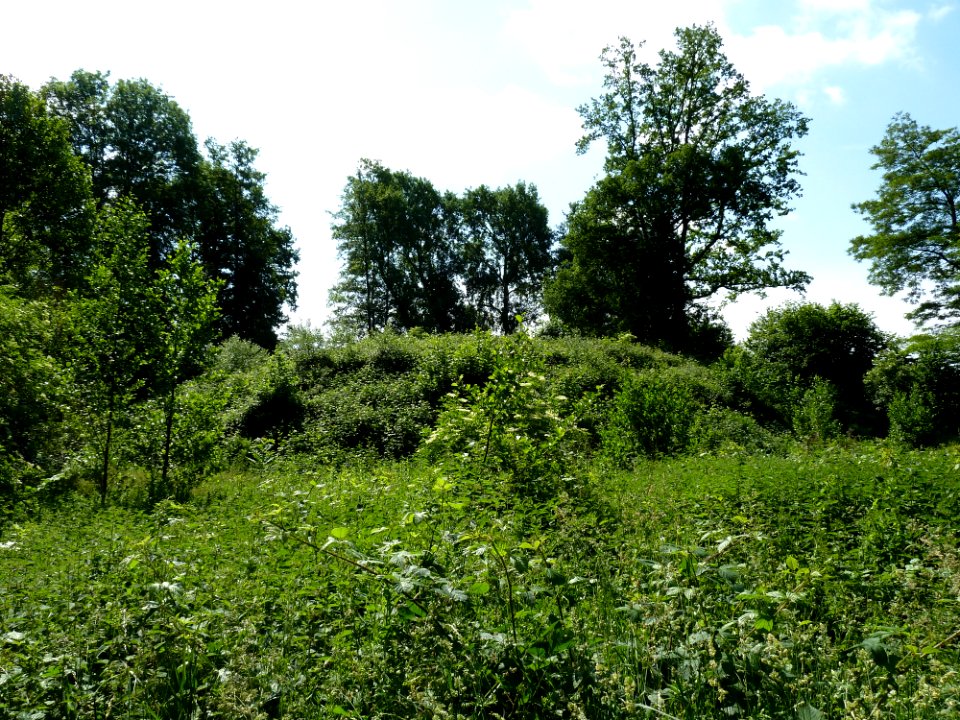 Schinveld-De Vossenberg (1)