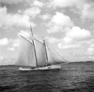 Schip op zee bij Oranjestad op Aruba, Bestanddeelnr 252-7856