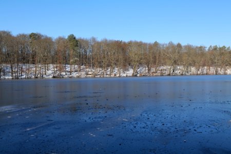 Schlachtensee with ice 2021-01-31 26