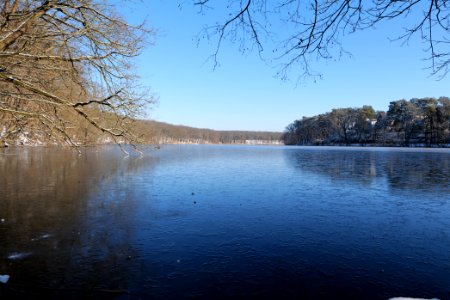 Schlachtensee with ice 2021-01-31 38