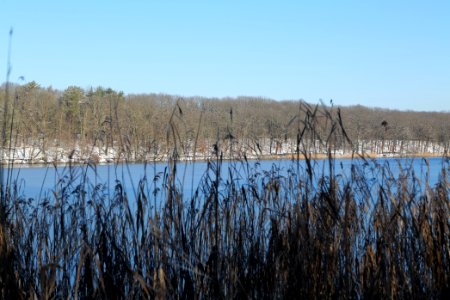 Schlachtensee with ice 2021-01-31 32