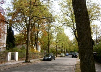 Schlachtensee Krottnaurer Straße-S P5030313 (2)
