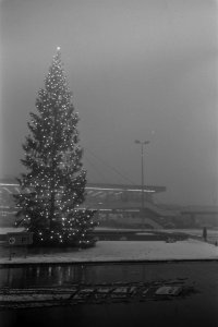 Schiphol dicht door de mist. Kerstboom in mist op Schiphol, Bestanddeelnr 923-0786