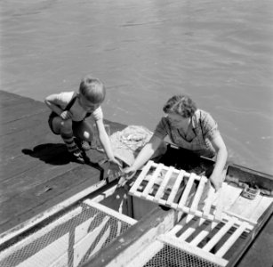 Schipperskind Wim van Geijn voert samen met zijn moeder de kippen aan boord van…, Bestanddeelnr 254-1622