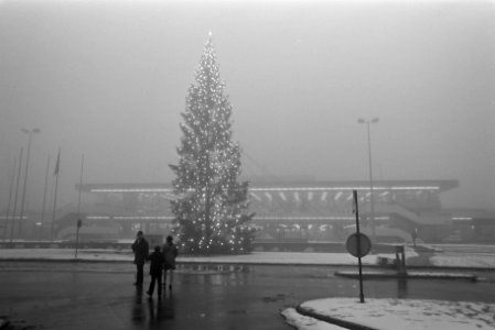 Schiphol dicht door de mist. Kerstboom in mist op Schiphol, Bestanddeelnr 923-0785