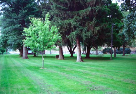 Schmuck park colfax