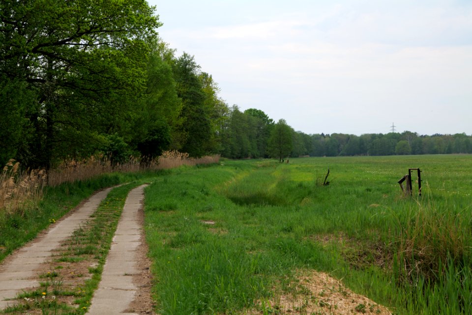 Schleuensches Luch 2020-05-10 18