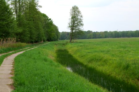 Schleuensches Luch 2020-05-10 20