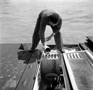 Schipper Willem van Geijn voert zijn kippen aan boord van de Damco 230, Bestanddeelnr 254-1617