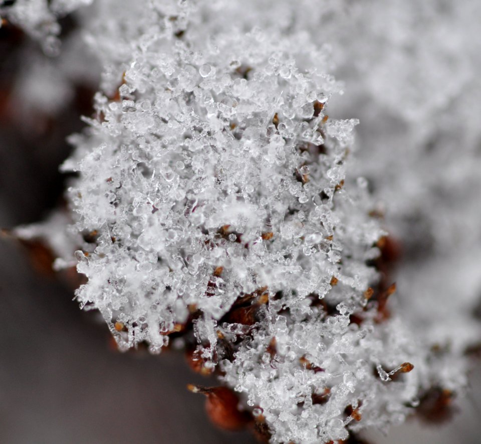 Schneekristalle-Goettingen01