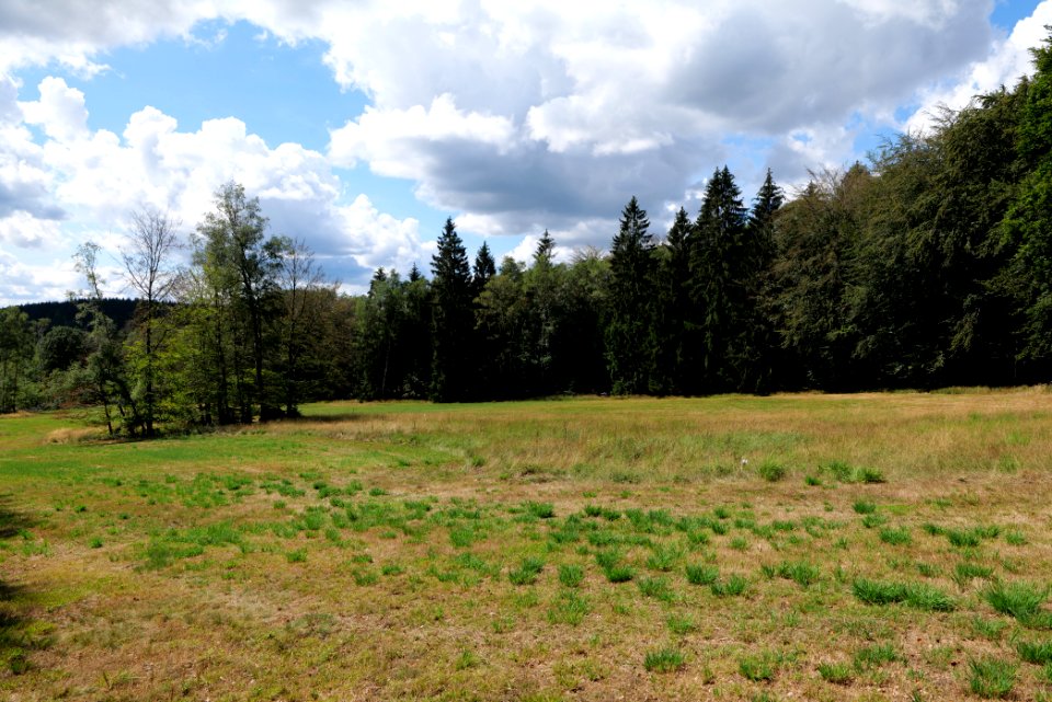 Schmittröder Wiesen Taunus 2020-08-18 14