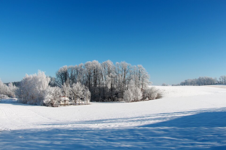 Wintry blue sky snow meadow