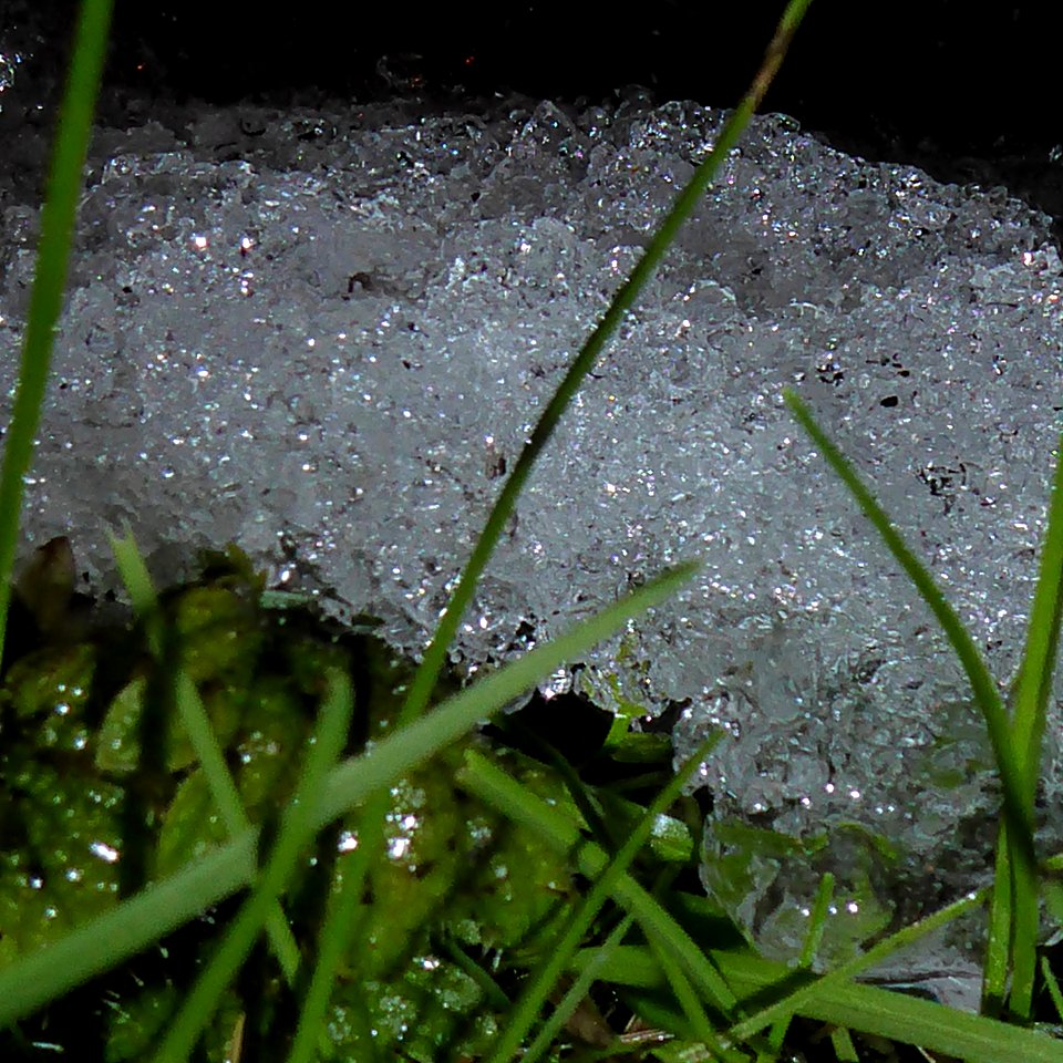 Schneeschmelze auf Grashang