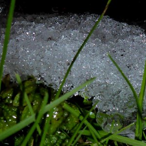 Schneeschmelze auf Grashang