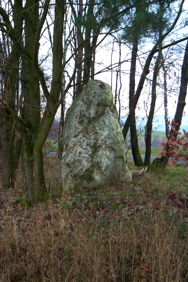Schoenberg-menhir-trafostation-H3