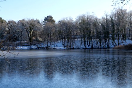 Schlachtensee with ice 2021-01-31 43
