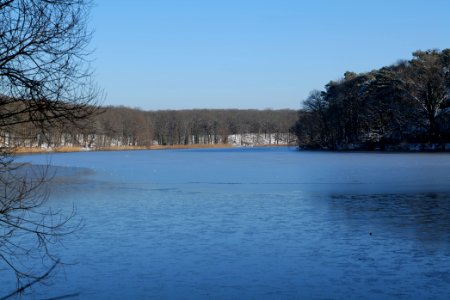 Schlachtensee with ice 2021-01-31 35