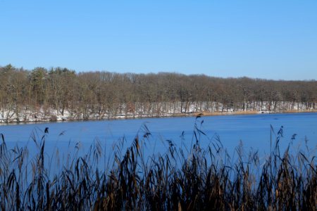 Schlachtensee with ice 2021-01-31 30