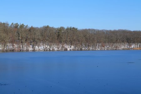 Schlachtensee with ice 2021-01-31 28