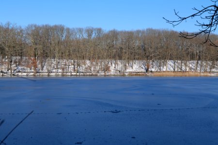 Schlachtensee with ice 2021-01-31 19