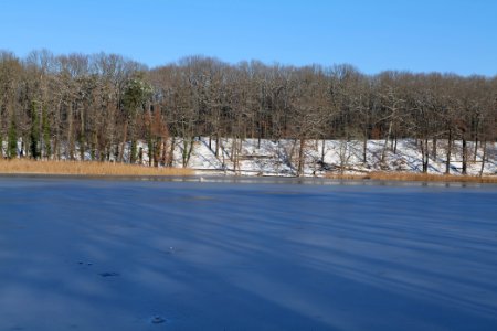 Schlachtensee with ice 2021-01-31 14