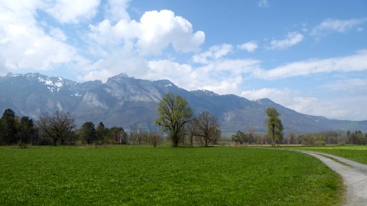 Schneggenäule Ruggell