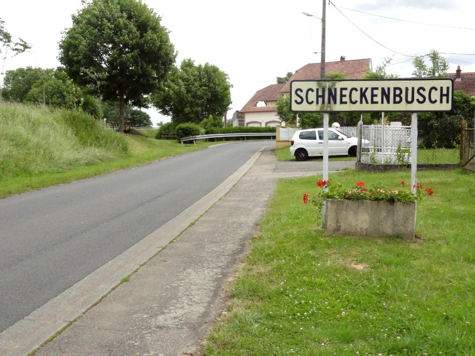 Schneckenbusch (Moselle) entrée