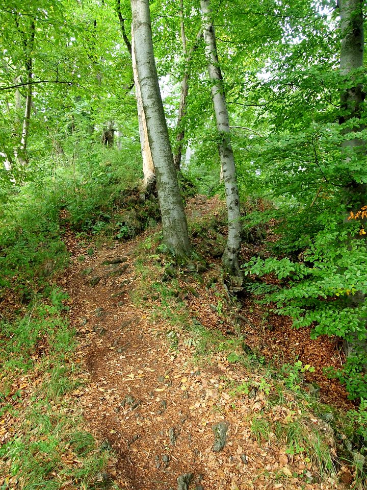 Schoeneburgweg (11)