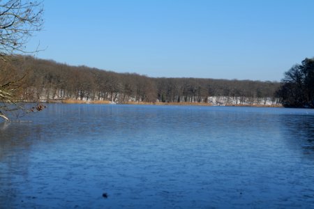 Schlachtensee with ice 2021-01-31 40